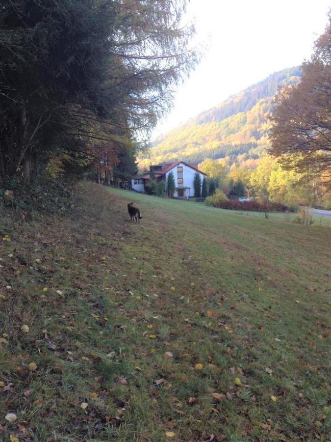 Hotel Waldnest Odenwald Extérieur photo