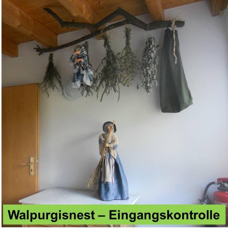 Hotel Waldnest Odenwald Extérieur photo